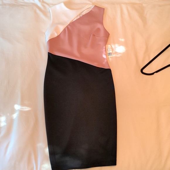 Alexia Admor Sleeveless Cut Out Neckline Color Block Scuba Knit Dress NWT Size S - Picture 2 of 6